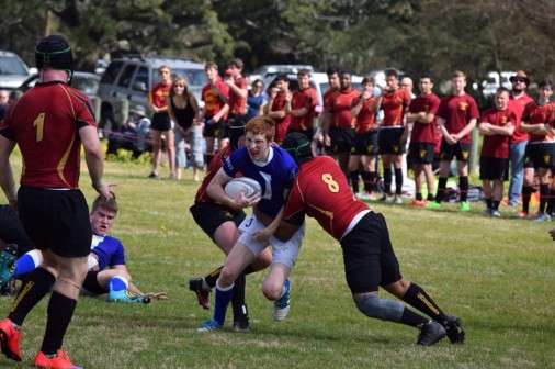 Junior Nate Beech takes on the Crusader defense during Jesuit's 56-0 win over Brother Martin.
