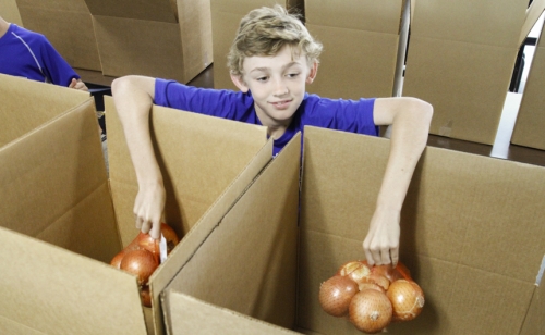 Alumni-Thanksgiving-Drive_20161122_Tuesday_017