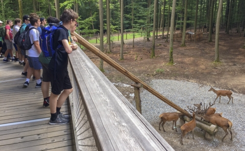 Blue-Jay-Band_20180706_European-Exchage_0014