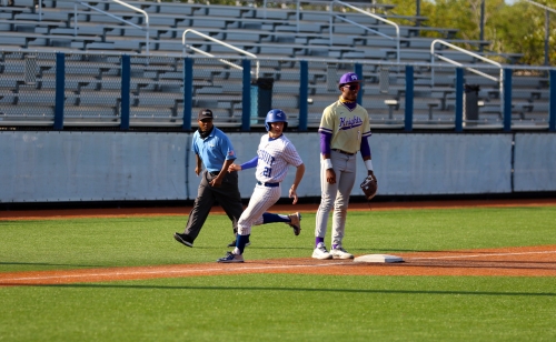 51100337073_969d48148f_o