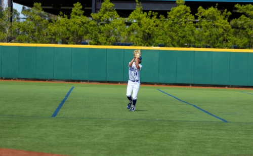 51100341543_a8c4ab1185_o