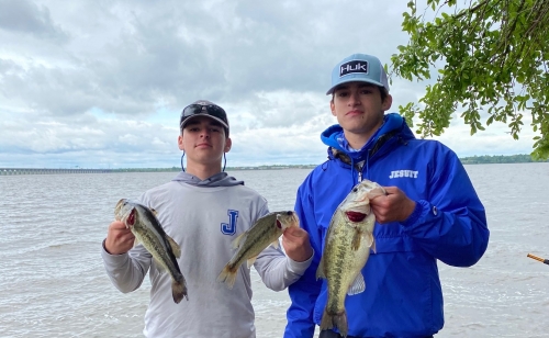 2D1BA8C8-F29C-4F2F-8DFD-6F2EB6971C17