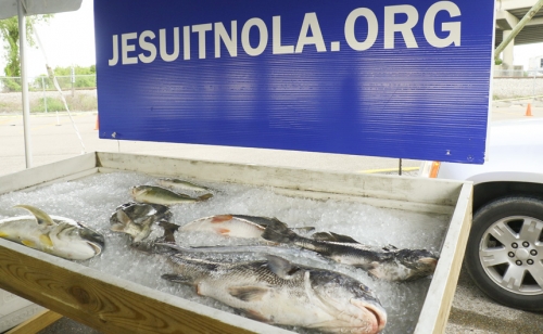 Fishing-Rodeo_20170617_649