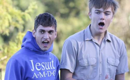 2017crosscountrydistrict11