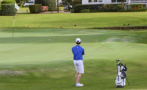 GolfvsBM_20190312_001