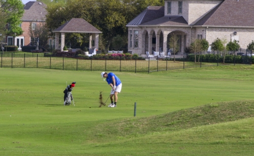 GolfvsBM_20190312_039