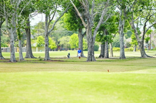 golf_2012_13_bidistrict_tournament_lakewood_041613_01