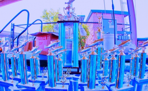 Fishing Rodeo 24_JRS_06252016_02