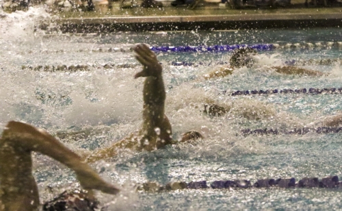 Swimming_20191025_Metro-Meet_054