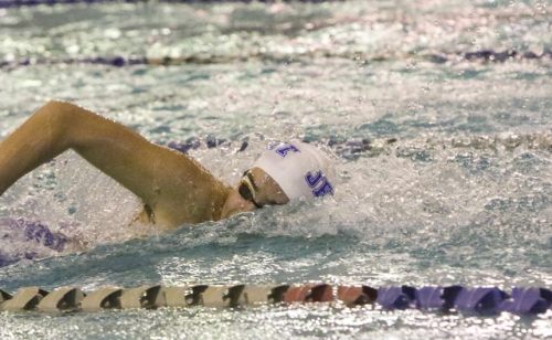 Swimming_20191025_Metro-Meet_075