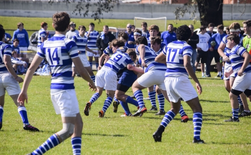 Rugby_20170207_Jesuit-vs-St.-Paul's_004