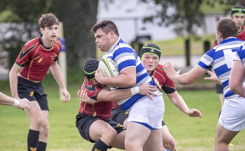 CAB_4296-(ZF-8050-99157-1-001)