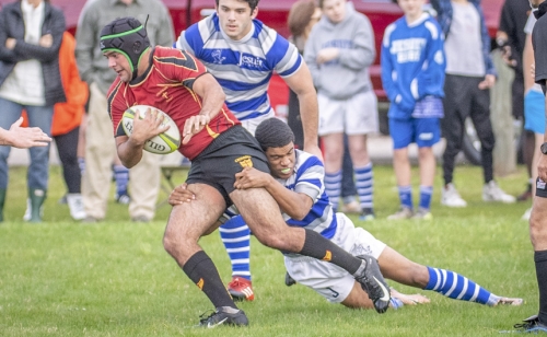 CAB_4538-(ZF-8050-99157-1-002)