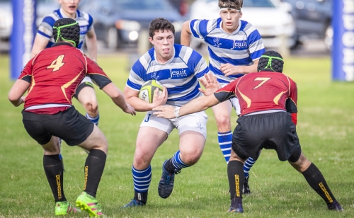 CAB_4686-(ZF-8050-99157-1-007)