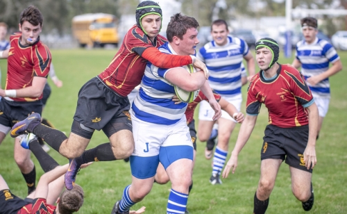 CAB_4827-(ZF-8050-99157-1-005)