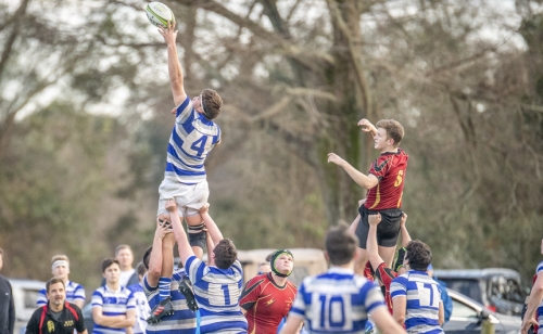 CAB_5982-(ZF-8050-99157-1-009)