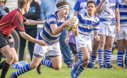 CAB_7172-(ZF-8050-99157-1-010)