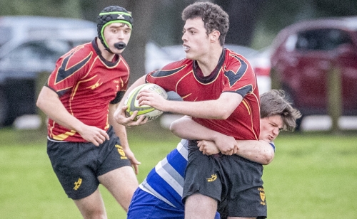 CAB_7827-(ZF-8050-99157-1-011)